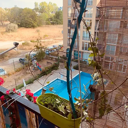 아파트 студия мир авангарда *