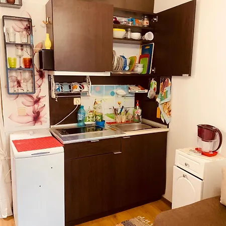 студия мир авангарда Appartement Slantchev Briag